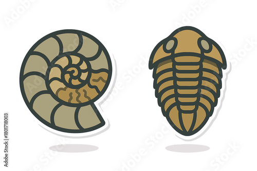 Prehistoric marine fossils featuring spiral ammonite and segmented trilobite