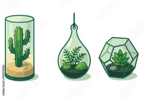 Three glass terrariums with desert and tropical indoor plants
