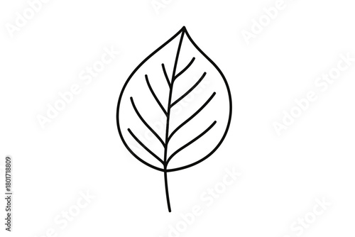 Outline drawing of a single ovate leaf with prominent veins