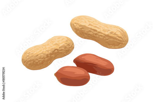 Assortment of whole peanuts in shell and shelled kernels on white background