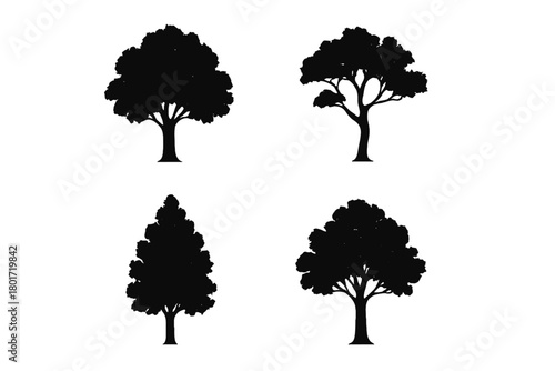 Set of four black silhouette deciduous and conical tree shapes isolated on white background