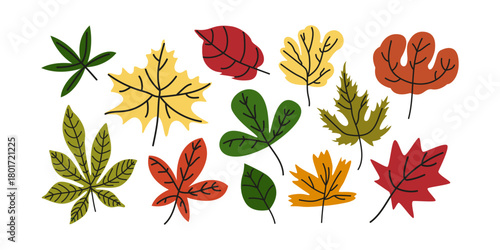 Set of bright leaves of various shapes. Autumn season cartoon doodle elements collection. Botanic fall season hand drawn tree leaves set for seasonal design and holidays. stickers, labels