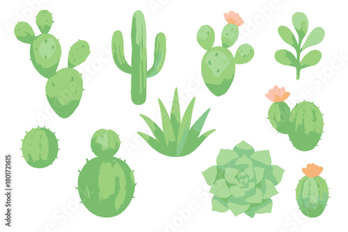Assortment of green desert succulents and various cactus species
