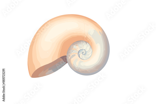 Nautilus shell cross section displaying perfect logarithmic spiral structure