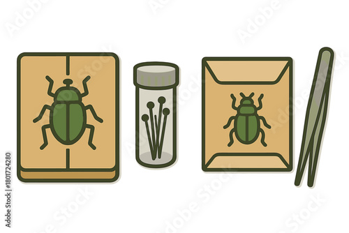 Tools and pinned insect specimens for entomology collection and study