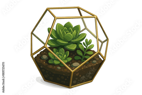Geometric glass terrarium with lush green succulent plants and rich brown soil