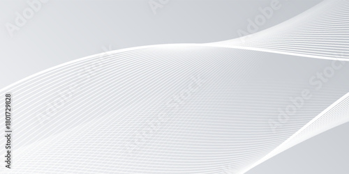 gray and white abstract background modern vector illustration. abstract wavy lines background. abstract white background.