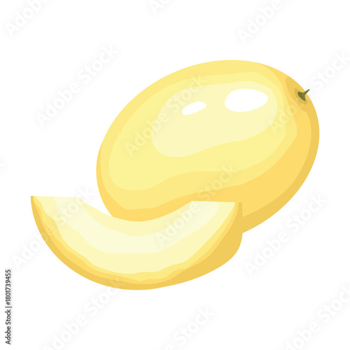Melon. Vector illustration. Highlights, shadows. Isolated on white background.