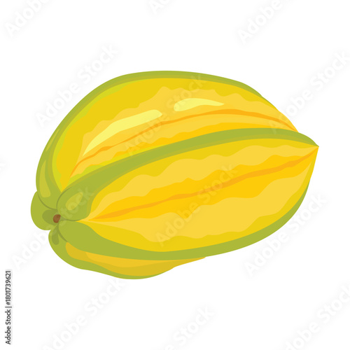 Starfruit. Vector illustration. Highlights and shadows. Isolated on white background.