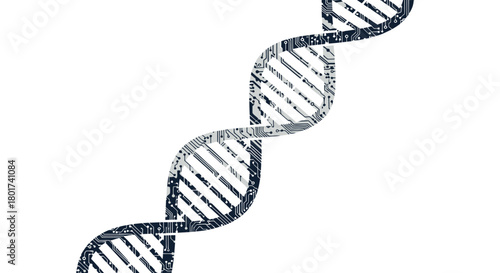 Abstract representation of a dna double helix structure with a textured patterned surface against a white background
