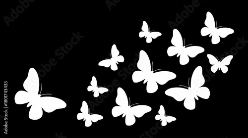 Elegant White Butterflies in Flight on a Dark Black Background