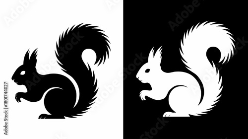 Squirrel Silhouette Duo in Black and White Contrast Design