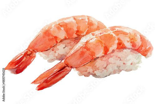 watercolor illustration of ebi nigiri sushi, cooked shrimp on rice | transparent png