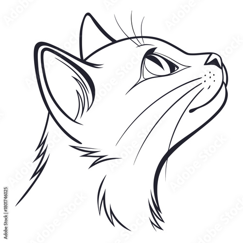 Illustration of a cat looking up, line art