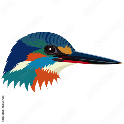 kingfisher beak and head vector.