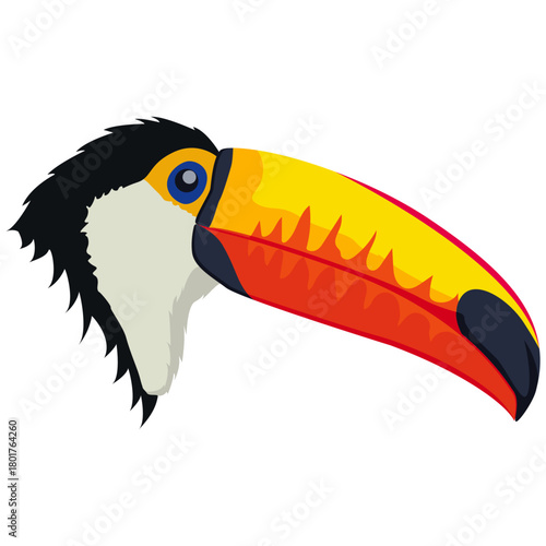 Colorful toucan beak and head.