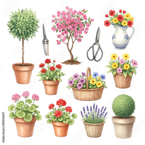 Watercolor garden collection: various plants, flowers, tools, pots isolated on transparent background