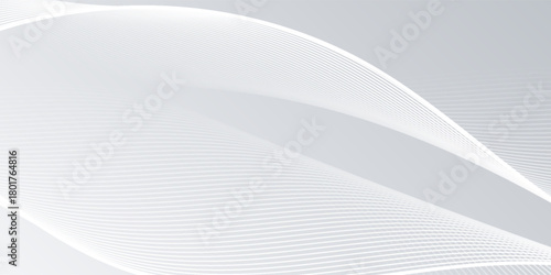gray and white abstract background modern vector illustration. abstract wavy lines background. abstract white background.