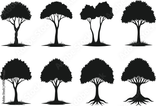 Tree silhouette vector illustration, diverse trunk and canopy shapes, natural form study, black foliage set, CAD drawing flat vector illustration