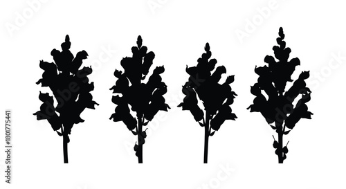 Silhouette of four snapdragon flowers