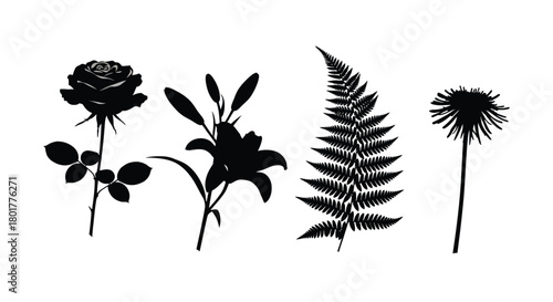 Silhouette of rose, lily, fern, and dandelion
