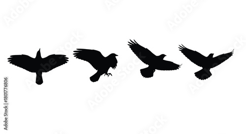 Four flying bird silhouettes in different positions
