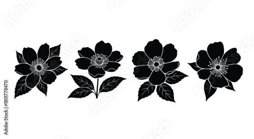 Four black flowers are in a row