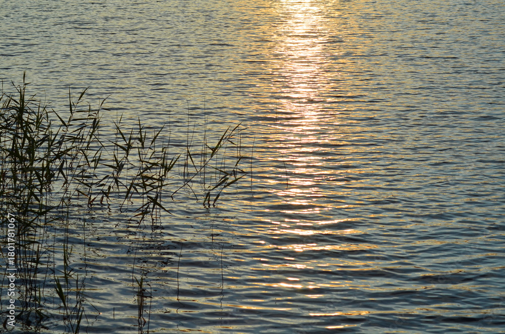 Fototapeta premium The rays of the sun on the surface of the water. There are small waves on the water, the bright rays of the setting sun are reflected from the almost flat surface of the water, forming a light stripe.