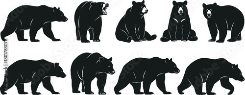 Stylized bear silhouette set featuring walking, sitting, standing, roaring poses for wildlife, nature, animal behavior, and vector design use.