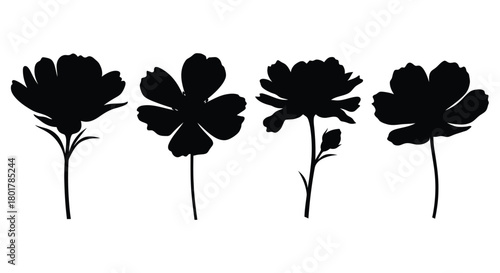 Four cosmos flower silhouette