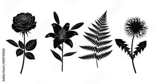 Botanical silhouettes rose, lily, fern, and dandelion