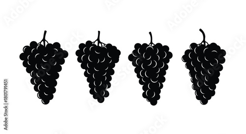 Four bunches of grapes, fresh and healthy fruit