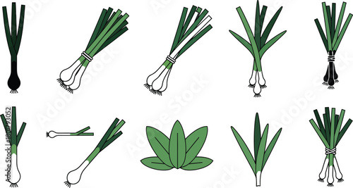 Fresh green onions and leafy vegetables arranged in various illustrative styles
