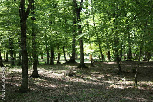 Beautiful spring landscape