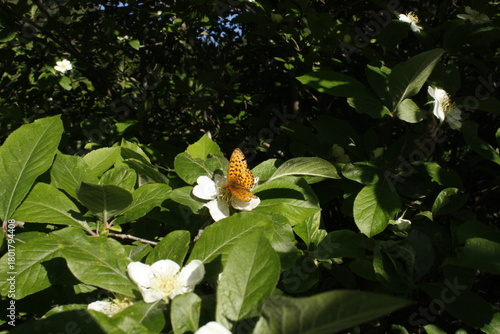 Beautiful spring landscape