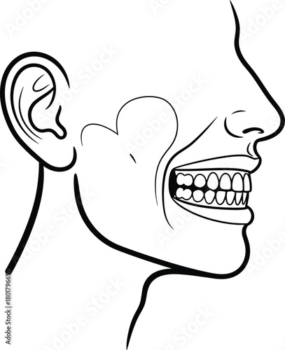 Human face anatomy drawing with teeth ear nose mouth and jaw illustration eps silhouette