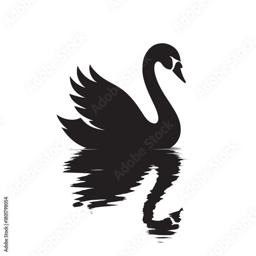 Black silhouette of a swan on water with reflection Keywords: swan, bird, water, reflection