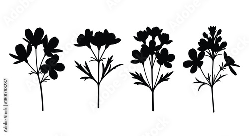 Four flower silhouettes for botanical concepts