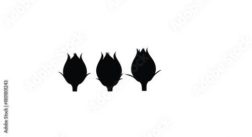 Three sorghum seed silhouettes for agriculture
