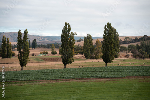 pivot irrigation on a hill farm growing vegetables in a field irrigation with water from a river. sprinklers watering and producing food on a farm in tasmania australia
