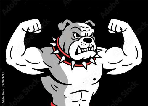 Muscular bulldog flexing biceps, aggressive dog with spiked collar, isolated