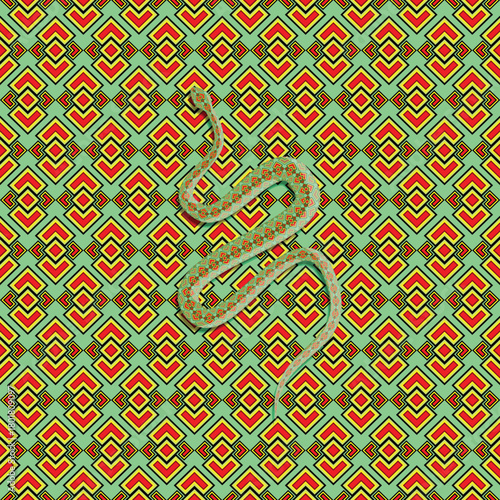 viper snake drawing with ornament hiding in pattern background