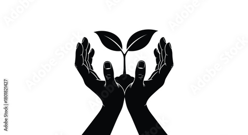 Silhouette of cupped hands gently protecting a small green plant seedling with two leaves