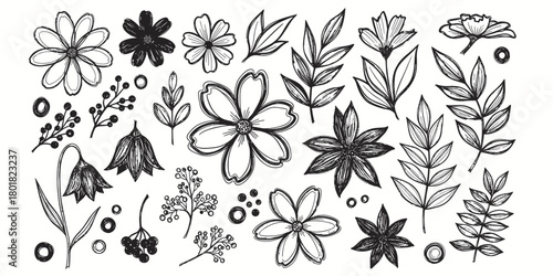 vector flower design with brush 