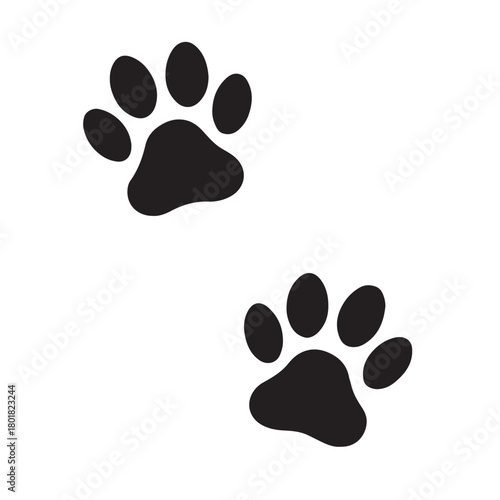 Two black paw prints on white background Keywords: paw print, animal track, pet, dog, cat