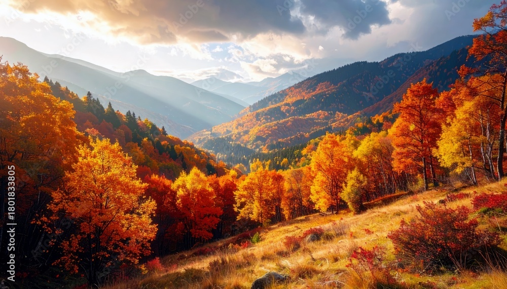 Fototapeta premium A scenic view of a valley filled with trees displaying vibrant fall foliage, with mountains in the background under a cloudy sky.