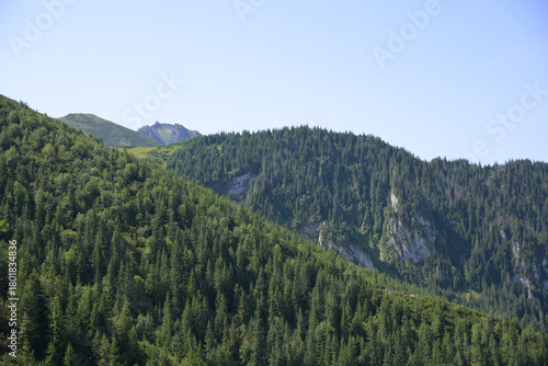 Fototapeta Naklejka Na Ścianę i Meble -  Spectacular views form the hiking trail through Boczan to Gasienicowa valley from Kuznice. Tatra National Park, Poland