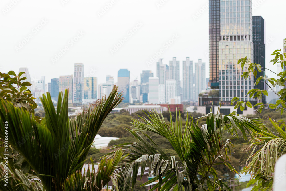 Naklejka premium Elevated view of Bangkok's modern skyline with high-rise buildings and skyscrapers. Lush tropical palm trees frame the dynamic cityscape, blending urban development with nature.