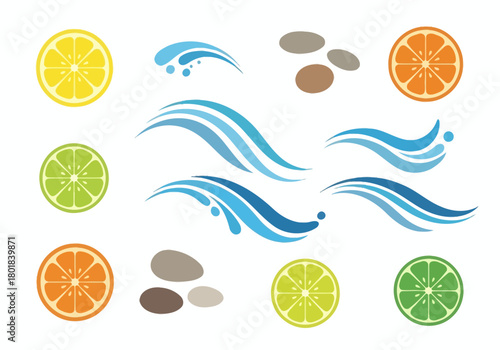 vector illustration of lemon slices and water splashes