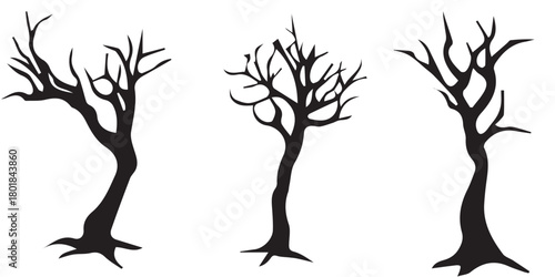 silhouette of a tree